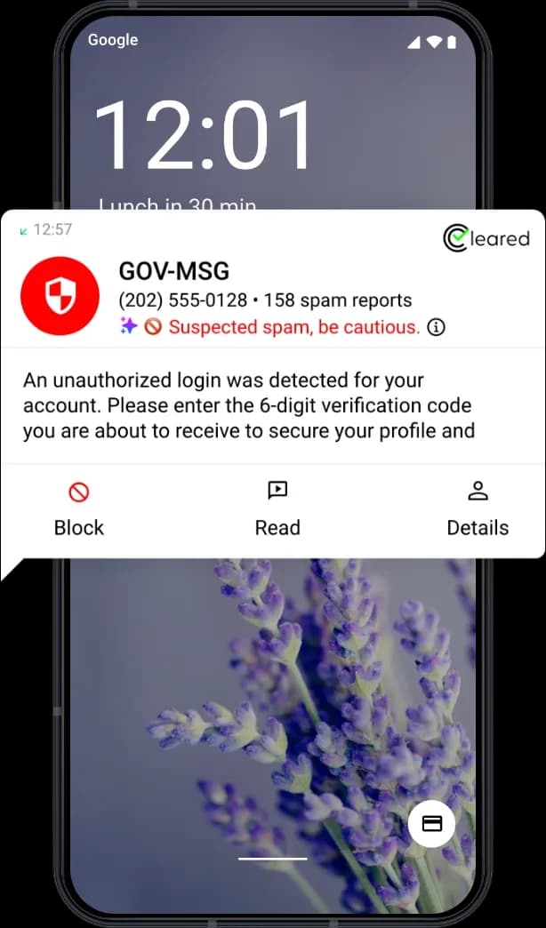 Phishing protection feature showing a phone screen with a detected phishing SMS and a warning about a malicious link